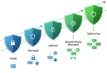 Cyber Security Maturity Models